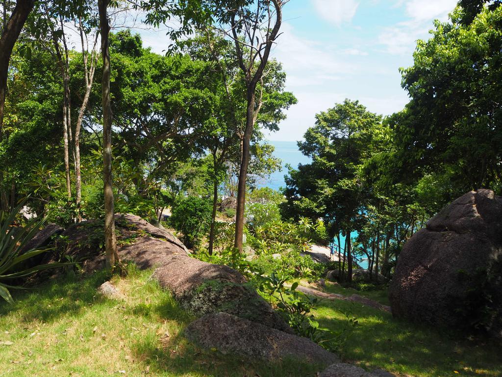 Ao Muong Beach Resort Ko Tao Eksteriør bilde